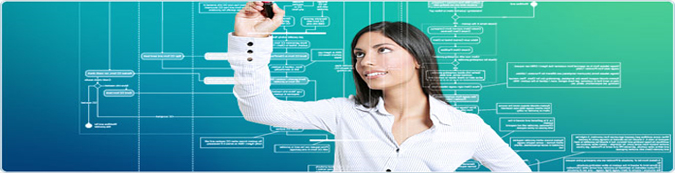 Custom Software Development